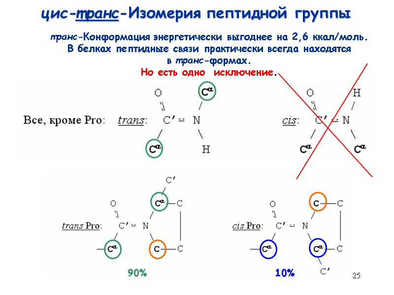 25 цис-транс-Изомерия пептидной группы 90% 10% транс-Конформация энергетически выгоднее на 2,6 ккал/моль. В белках